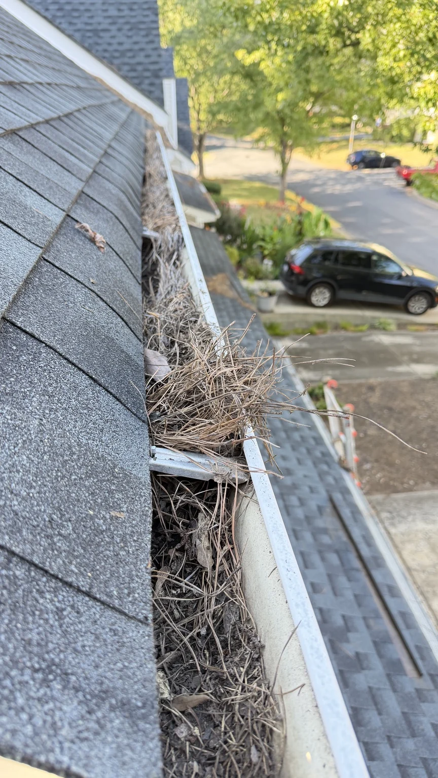 A residential gutter filled with pine needles, leaves and accumulated debris